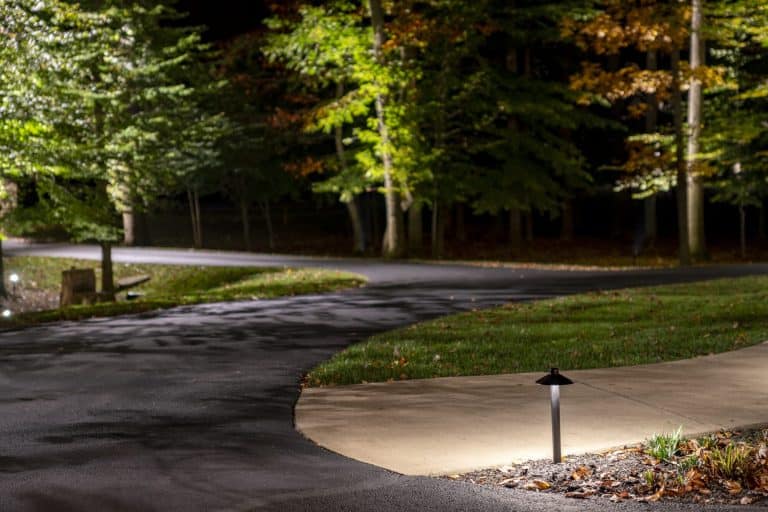 Curving driveway through mature woods, with uplit tree canopies glowing green and a path light marking the lawn edge.