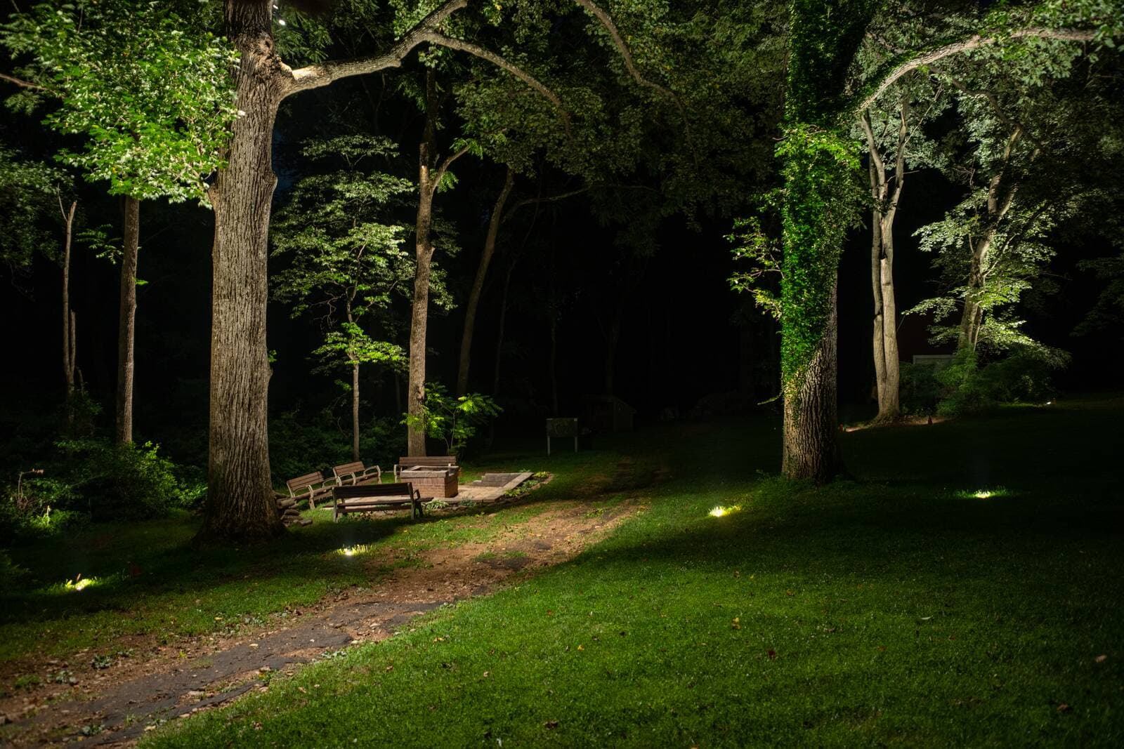 Wooded landscape at night with uplit tree trunks and softly lit gravel path leading to a seating area