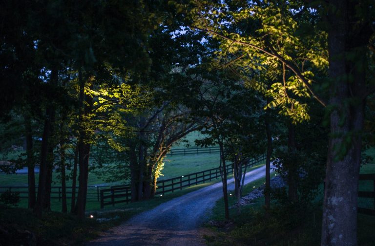 Tree canopy over a winding farm driveway softly lit at dusk, with pasture fencing beyond, in western Loudoun County