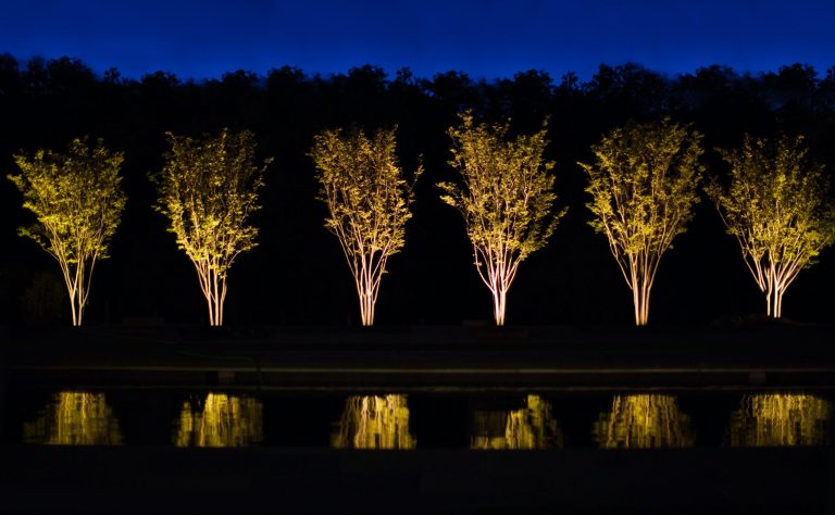 Six uplit ornamental trees in a row, reflected in a pond under a deep blue sky in western Loudoun County
