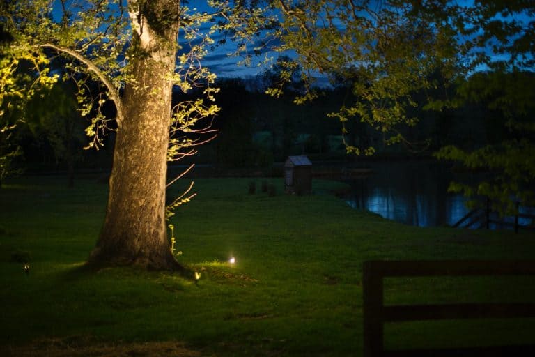 Uplit shade tree on a lawn overlooking a pond and fence line at blue hour in western Loudoun County