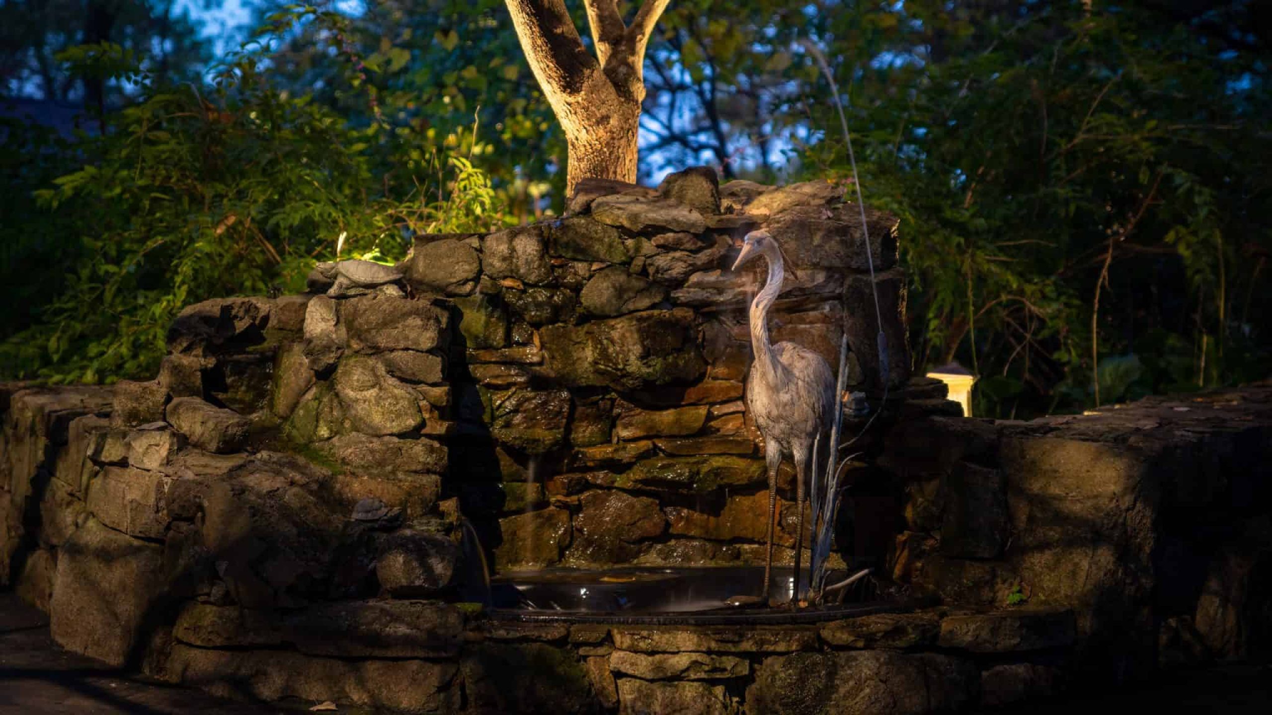 Down lighting water feature